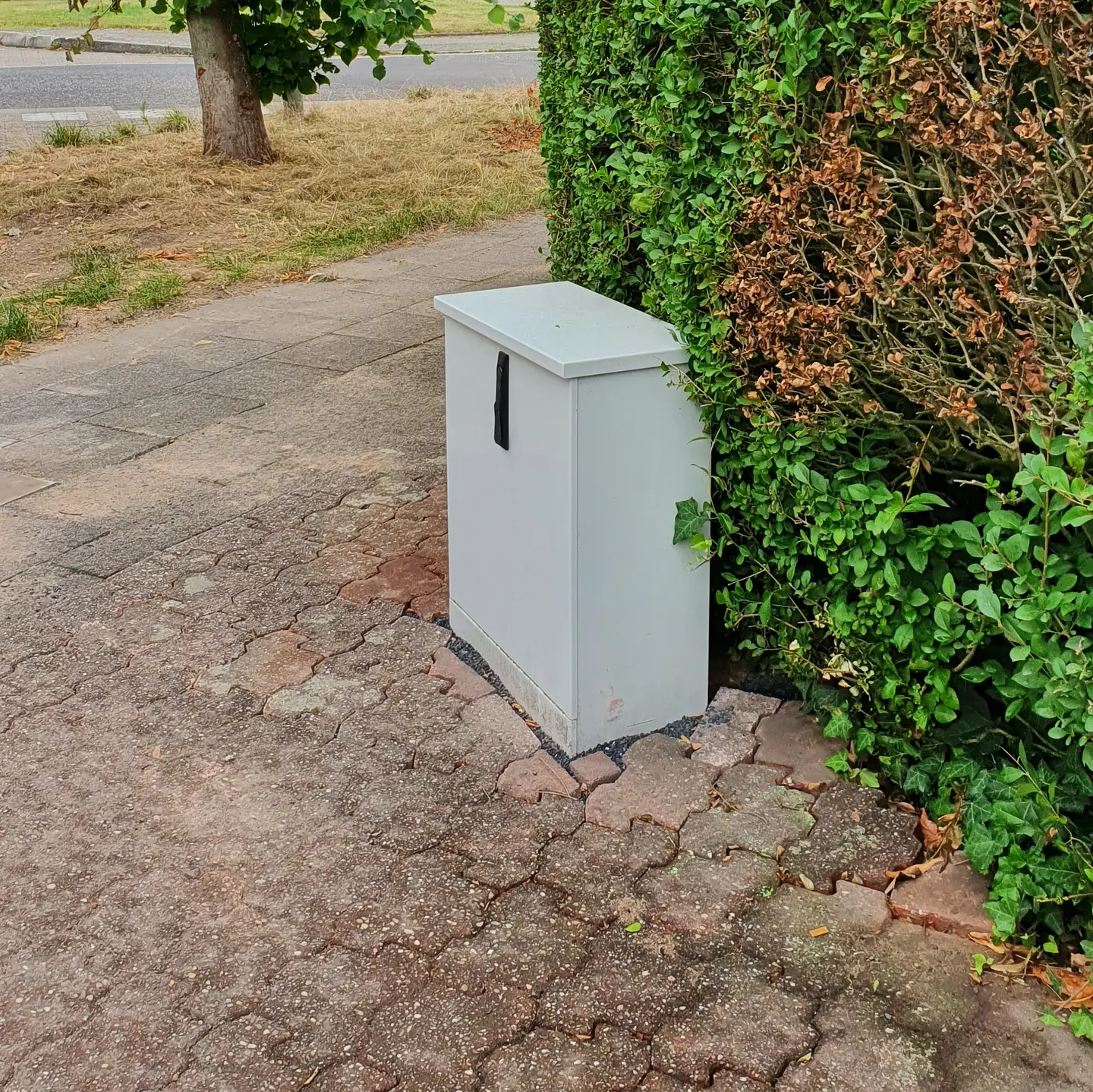 [PRESSE] Glasfaser-Ausbau: Frist bis zum Jahresende verl&auml;ngert